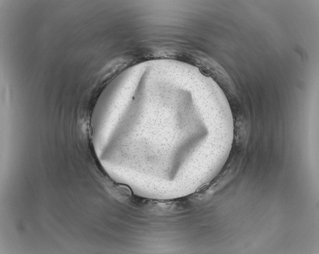 X0000111870329200908131617