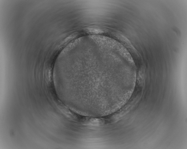 X0000111870330200908131617