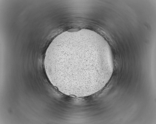 X0000111870333200908131617