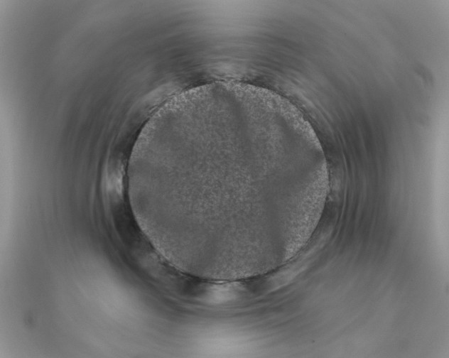 X0000111870334200908131617