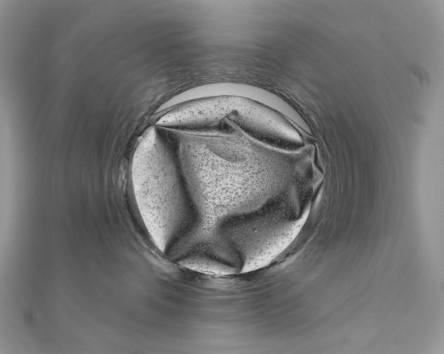 X0000111870336200908131617