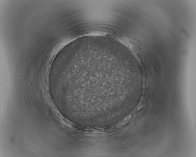 X0000111870337200908131616