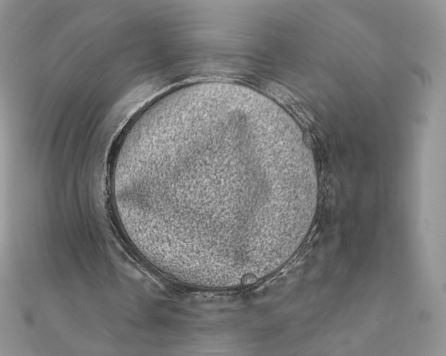 X0000111870338200908131616