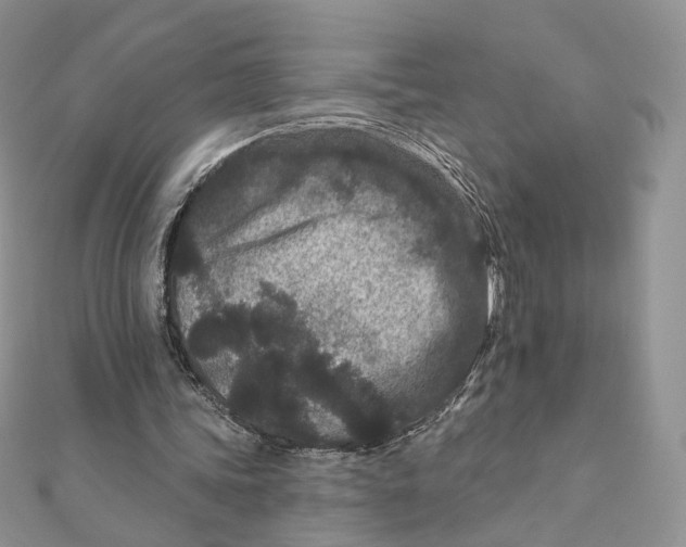 X0000111870339200908131616