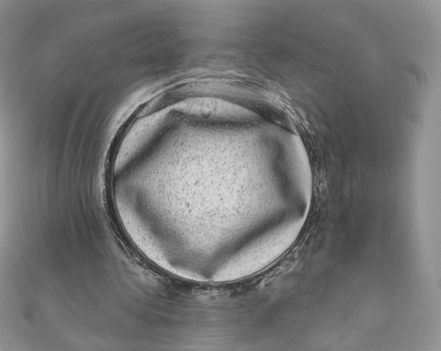 X0000111870340200908131616