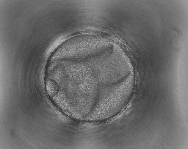 X0000111870341200908131616