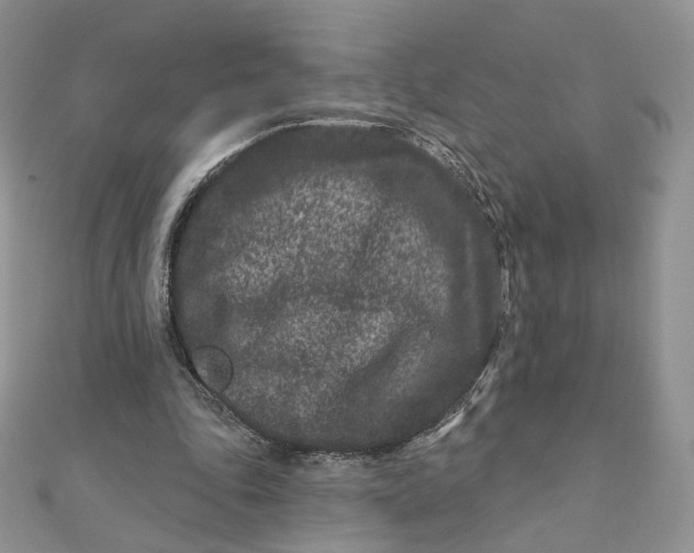 X0000111870343200908131616