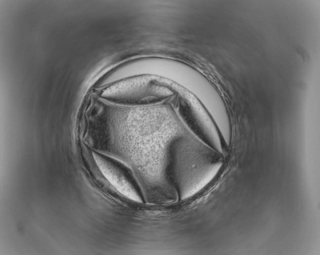 X0000111870344200908131616