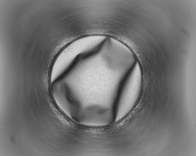 X0000111870345200908131616