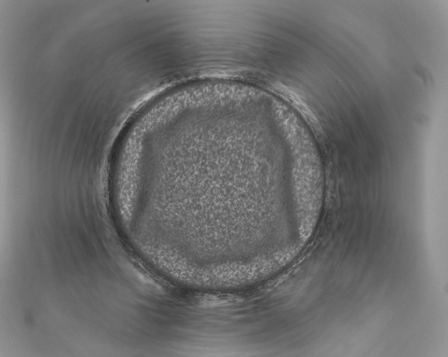 X0000111870346200908131616