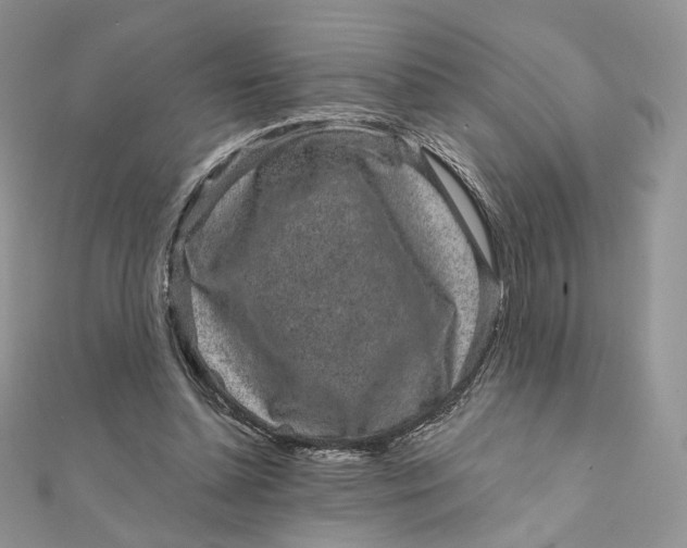 X0000111870348200908131616