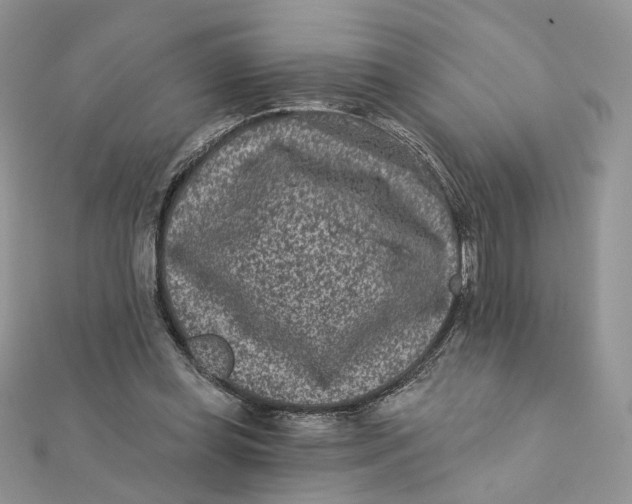 X0000111870349200908131616