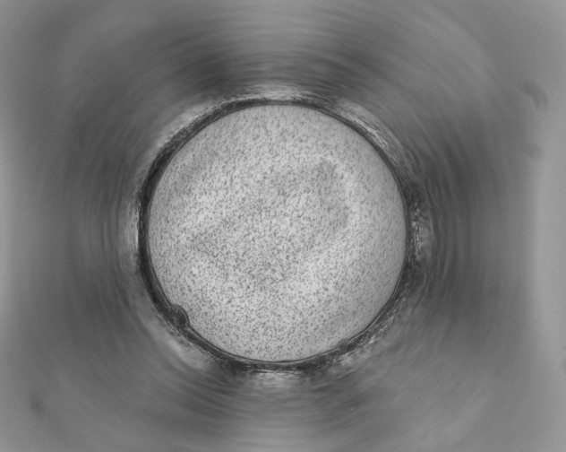 X0000111870350200908131616