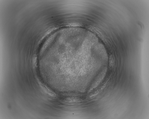 X0000111870351200908131616