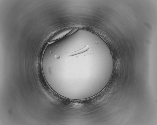 X0000111870352200908131616