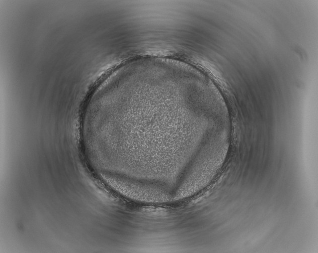 X0000111870354200908131616