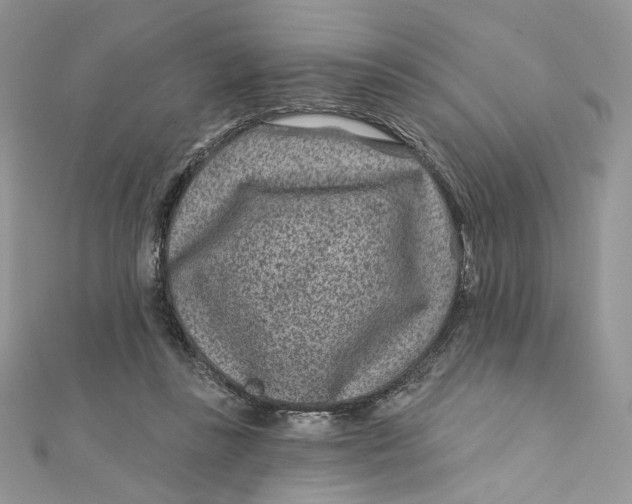 X0000111870355200908131616