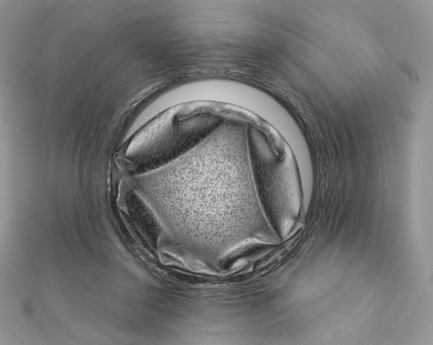 X0000111870356200908131616