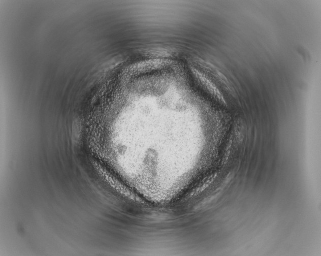 X0000111870359200908131616