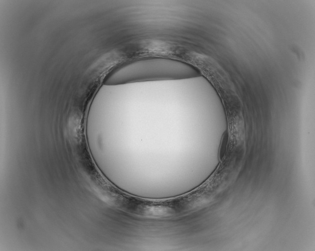 X0000111870360200908131616