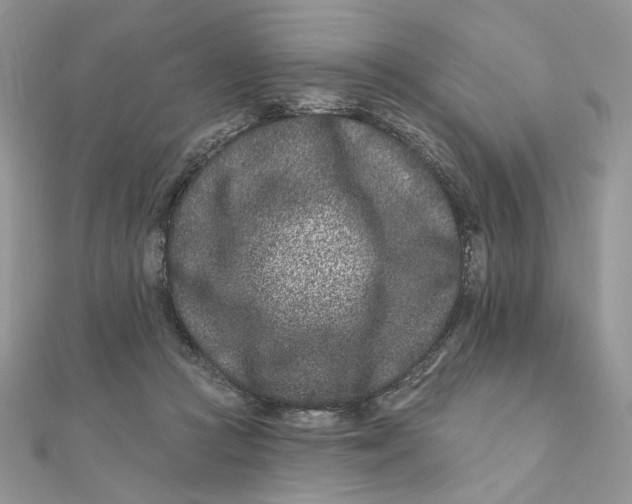 X0000111870361200908131616