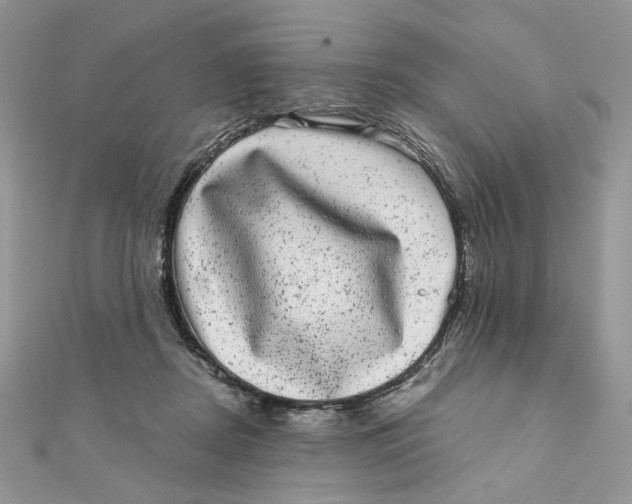 X0000111870362200908131617