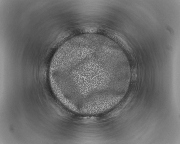 X0000111870363200908131617