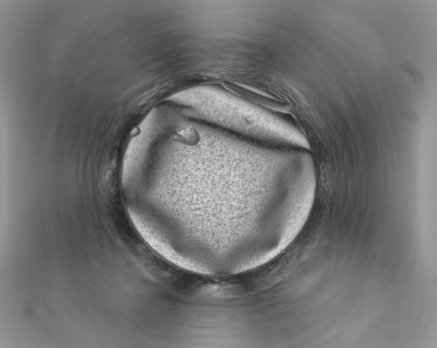 X0000111870364200908131617