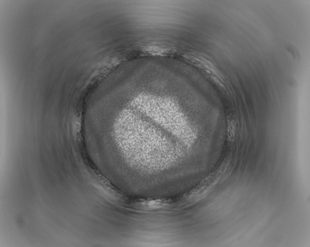 X0000111870365200908131617