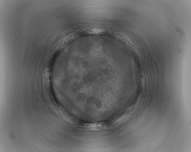 X0000111870366200908131617