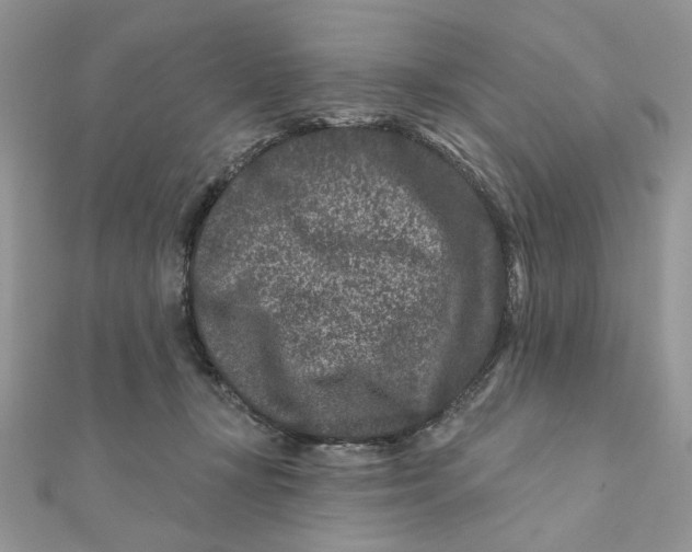 X0000111870367200908131617