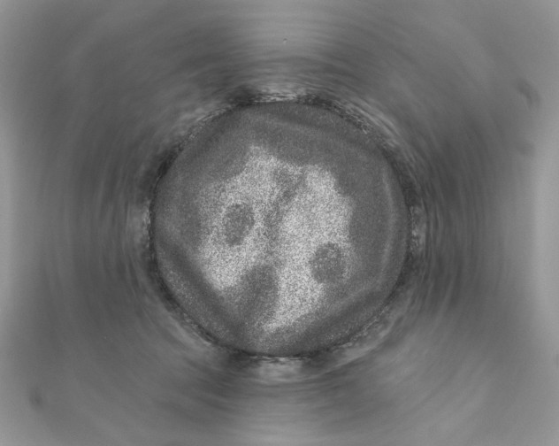 X0000111870369200908131617