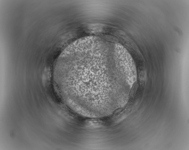 X0000111870372200908131617