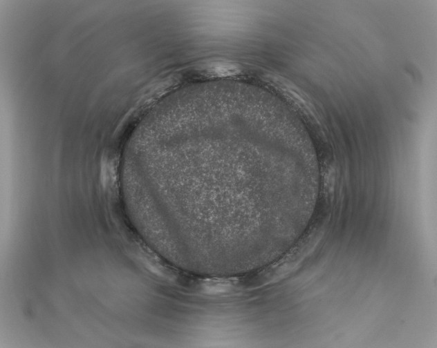 X0000111870373200908131617