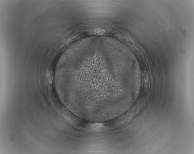 X0000111870374200908131617