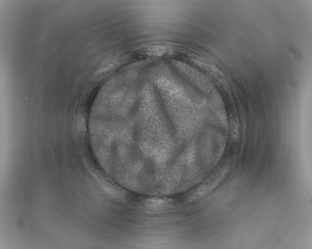 X0000111870375200908131617