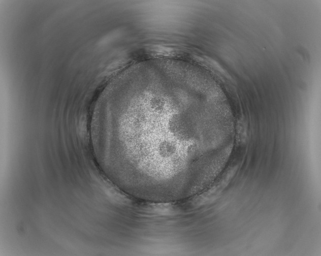 X0000111870377200908131617