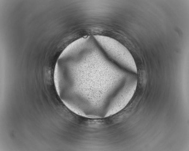 X0000111870378200908131617