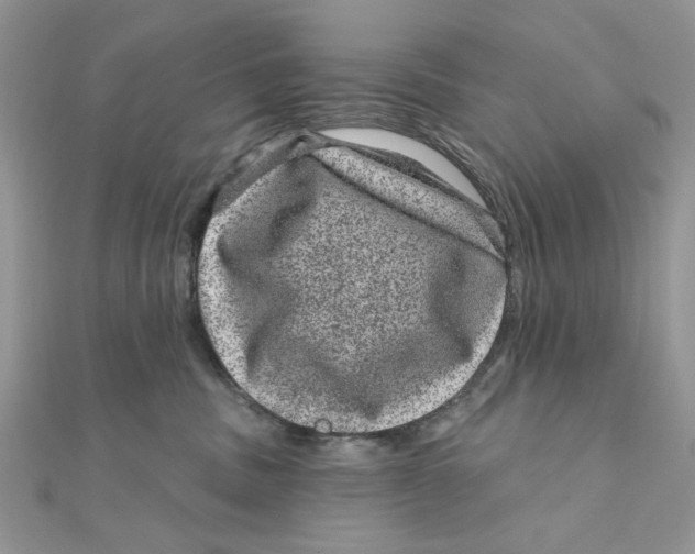 X0000111870379200908131617