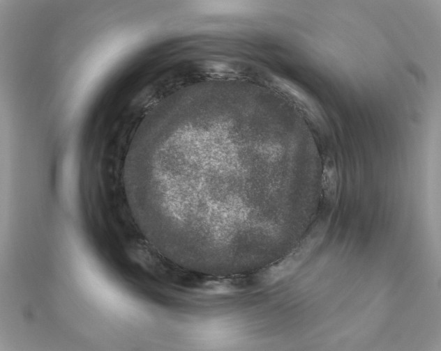 X0000111870381200908131617