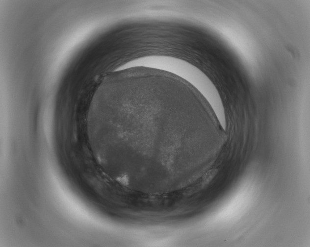 X0000111870383200908131617