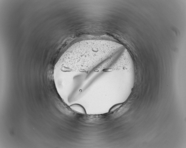 X0000111870384200908131617