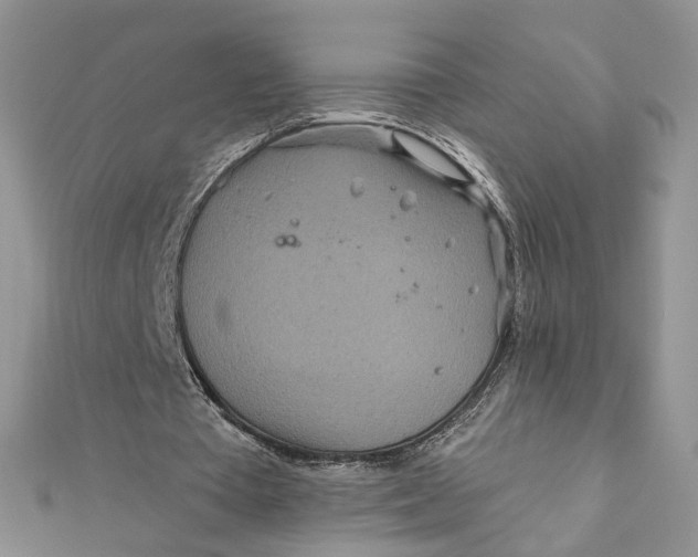 X0000111870385200908131616