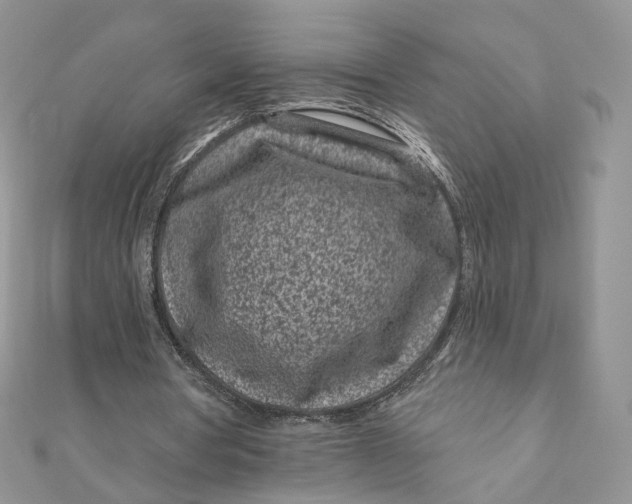 X0000111870386200908131616