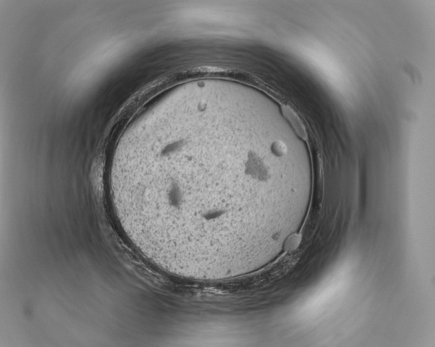 X0000111870387200908131616