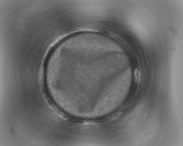 X0000111870388200908131616