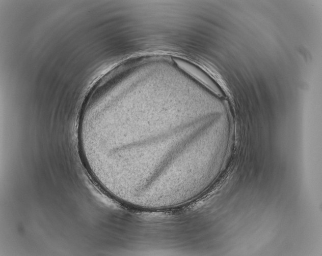 X0000111870389200908131616