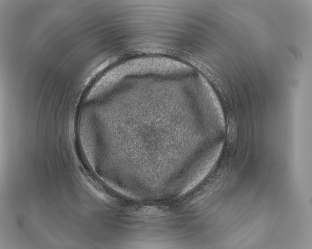 X0000111870390200908131616