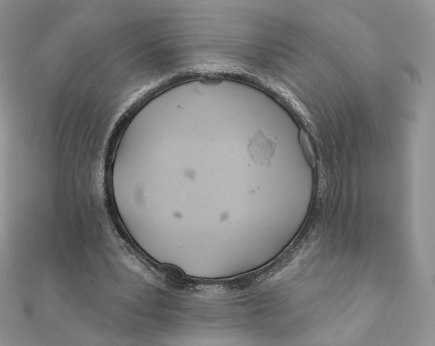 X0000111870391200908131616