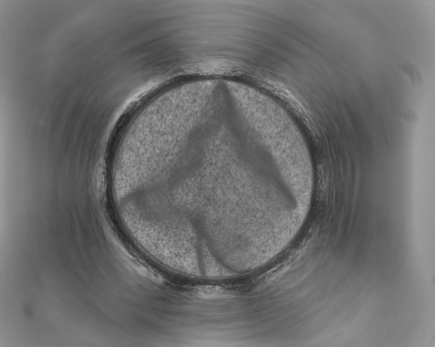 X0000111870392200908131616